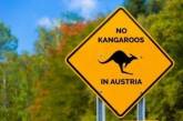 С Австралией перепутал: на севере Австрии гулял кенгуру. ФОТО