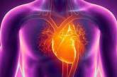 Медики рассказали, как уберечься от сердечных болезней