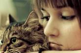 Из-за кошек женщины становятся более склонны к суициду