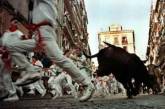 В Испании пять человек получили ранения, убегая от быков