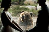 Реакция медведя на поцелуй новобрачных развеселила пользователей сети 