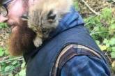 Канадца, спасшего в лесу «котенка», ждал большой сюрприз. ФОТО
