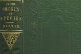 Первое издание "Происхождения видов" обнаружили в туалете