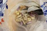 В Британии кот притащил с прогулки пакет с наркотиками. ФОТО