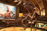 Ученые выяснили, как сношались динозавры