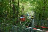 Итальянец построил парк аттракционов в лесу.ФОТО