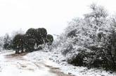 Редкое зрелище: на юге Африки выпал снег. Фото