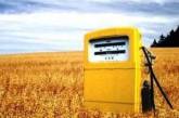 Европейские "зеленые": Украина может заместить российский газ биотопливом
