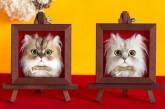 Реалистичные 3D-портреты кошек из шерсти. ФОТО