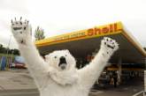 Активисты Greenpeace устроили "снежный" протест в офисе Shell