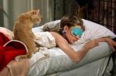 Медики рассказали, чем опасно спать вместе с домашними питомцами 