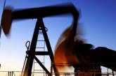 Число желающих добывать нефть на украинском шельфе растет