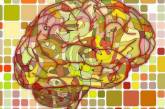 Учёные разобрались, как мозг формирует иллюзии