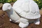 Английская семья попыталась оказать помощь керамической черепахе