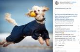 Instagram назвал десятку лучших снимков года. ФОТО