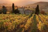 Французские виноградники больше не принадлежат Франции