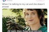 Фродо из «Властелина колец» стал героем забавных мемов. ФОТО