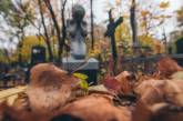 Мистический Киев: Байковое кладбище на рассвете. ФОТО