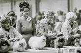 Трогательные винтажные кадры с собачьих выставок 60-70 годов. ФОТО