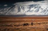 Кочевые пейзажи Монголии на снимках Денниса Хеллвига. ФОТО