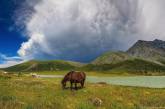 Фотографии с самыми красивыми видами Алтая. ФОТО