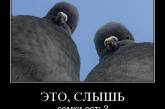 Во Львове гопники соберутся на Олимпиаду – "Пацаниада-2012"