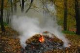 За сжигания листьев украинцев будут штрафовать на 340 грн