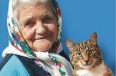 На автора билборда «Бабушка с котом» завели уголовное дело