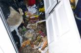 49-летней грязнуле запретили держать домашних животных. ФОТО