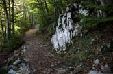 Виртуальная прогулка по пещерам Хорватии. ФОТО