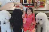 Сеть в восторге от маленькой японки и ее огромных пуделей. ФОТО