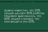 Улыбнитесь: веселые анекдоты согреют холодным осенним днем. ФОТО