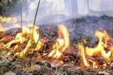 МЧС предупредило о чрезвычайной пожароопасности