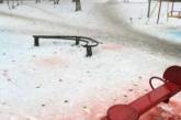 В России коммунальщики умудрились покрасить снег. ФОТО
