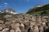 Фоторепортаж о жизни пастуха в Альпах. ФОТО