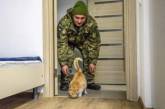 В Сети смеются над первым котом в Фейсбук Порошенко. ФОТО