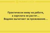 Начните день с позитива: подборка смешных анекдотов. ФОТО