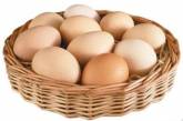 Врачи рассказали, почему яйца нужно есть каждый день