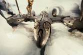 Заброшенные самолеты времен Второй Мировой. Фото