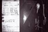 В Великобритании найдена голубиная почта времён Второй мировой
