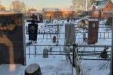 Умора: в России елку для детского городка срубили на кладбище. ФОТО