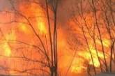 В Киеве бушуют пожары