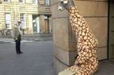 В Шотландии появился жираф доброты