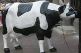 Европейские производители молока проводят акцию протеста в Брюсселе