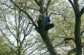 Грабитель банка четыре часа прятался от полиции на дереве. ФОТО