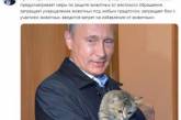 Пиар Путина на котиках высмеяли в соцсетях. ФОТО