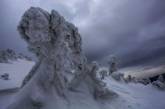 Фотограф показал, как выглядит зима в польских горах. ФОТО