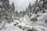 Зимние Карпаты в волшебных пейзажах. ФОТО