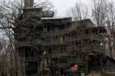 Американец построил рекордно большой дом на дереве. Фото