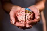 Ученые создадут мозг, обладающий сознанием 